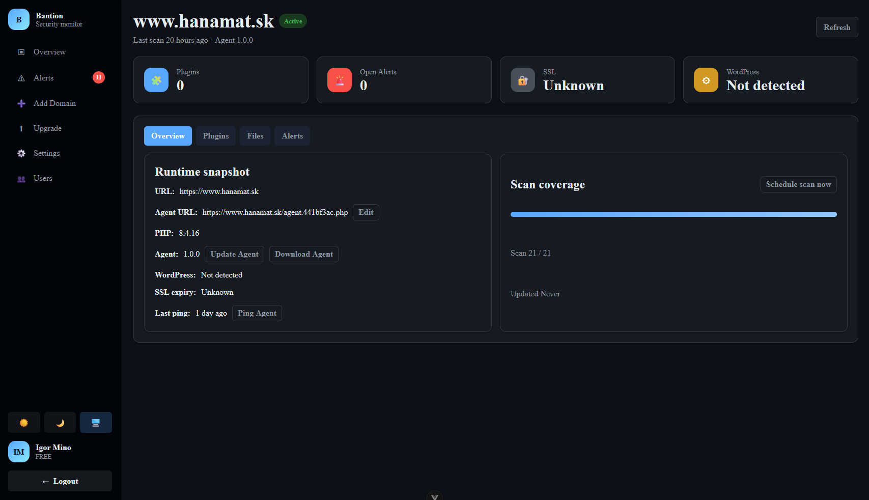 Bantion domain detail with runtime snapshot and scan coverage